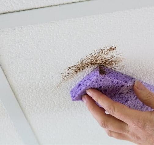 How do you clean mineral fiber ceiling tiles?